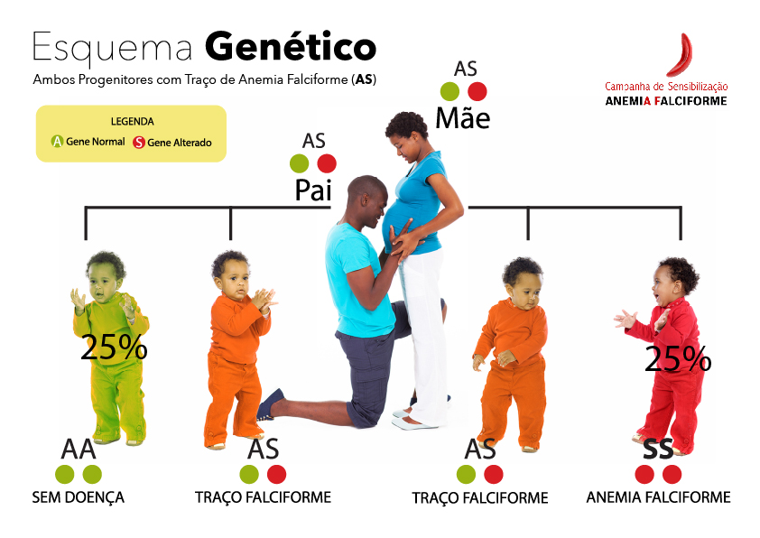 esquema genetico